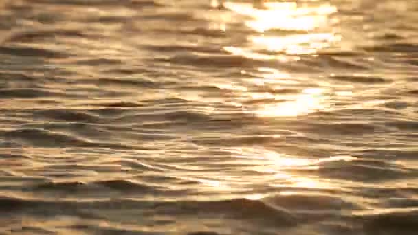 Sonnenreflexion auf dem Wasser — Stockvideo