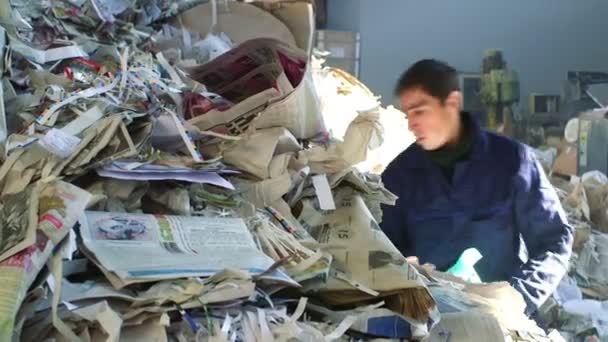 Paper recycling factory — Stock Video