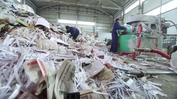 Fábrica de reciclagem de papel — Vídeo de Stock