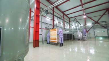 peynir üretim tesisi