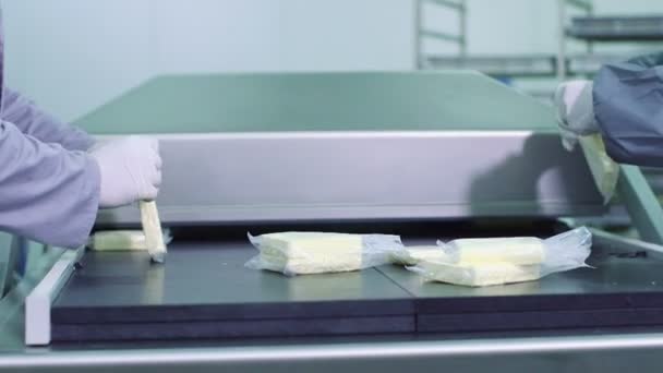 Planta de produção de queijo — Vídeo de Stock