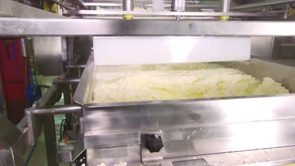 Cheese production plant — Stock Video