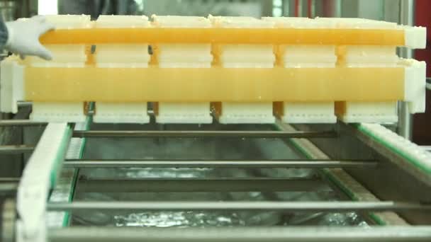 Stabilimento di produzione del formaggio — Video Stock