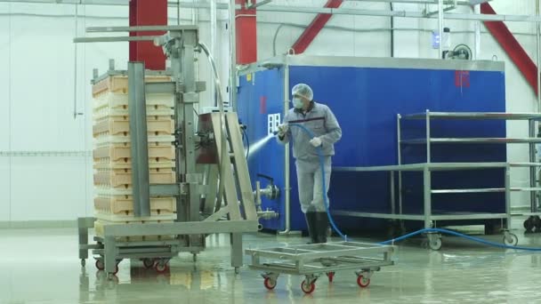 Cheese production plant — Stock Video