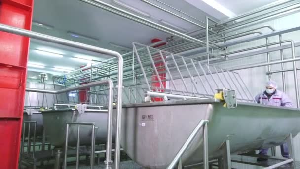 Cheese production plant — Stock Video