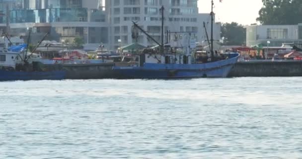 Cidade costeira Batumi — Vídeo de Stock