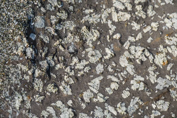 Stenige grond met uitstekende rotsen — Stockfoto