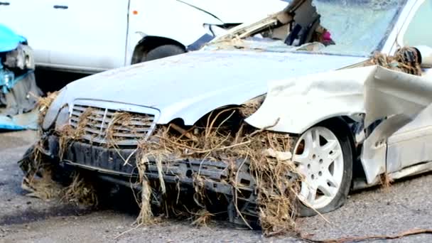 Damaged cars in consequence of flooding — Stock Video