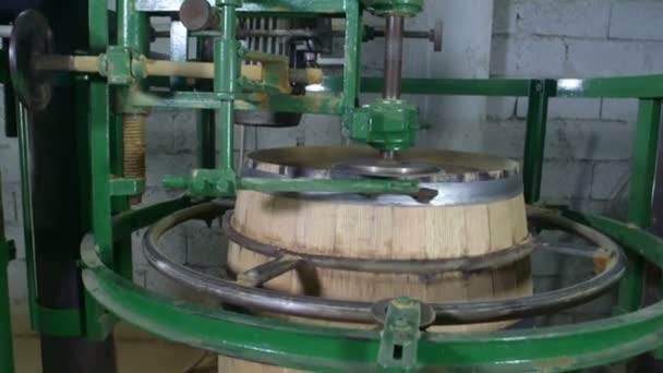 Production de barriques de vin — Video