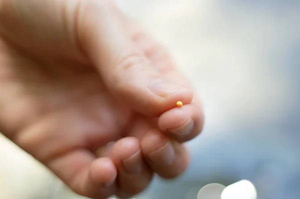 Close Christian Woman Holding Mustard Seed Fingers Strong Faith God — Stock Photo, Image