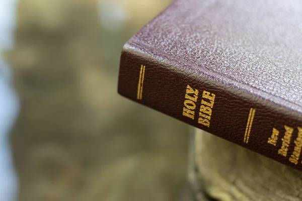 Закрытая Библия Золотыми Буквами Слово Божье Иисус Христос Чтение Изучение — стоковое фото