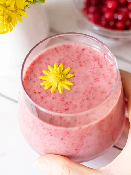 Closeup Creamy Wild Cranberry Smoothie Glass Woman Hand Holding Glass — Stockfoto