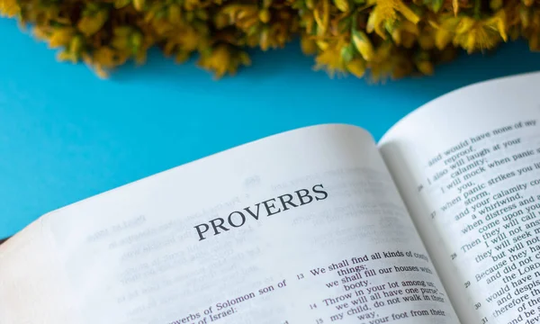 Proverbios Libro Santa Biblia Cristiana Inspirado Por Dios Jesucristo Sabios —  Fotos de Stock