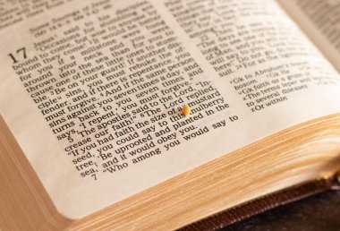 Kutsal Kitap 'ın üzerine hardal tohumu dök. İncil 'deki Hristiyan inancı ve Tanrı' ya ve İsa 'ya olan umudu. Tanrı 'ya güven ve güçlü inanç.