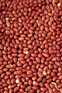 Bir yığın kavrulmuş fıstık yakın çekim. Üst görünüm.