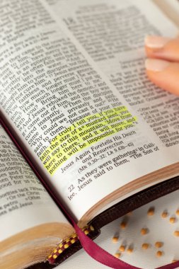 Hardal tohumlu kutsal İncil kitabı. Yakın plan. Tanrı 'ya olan inanç, İsa Mesih, İncilsel kavram.