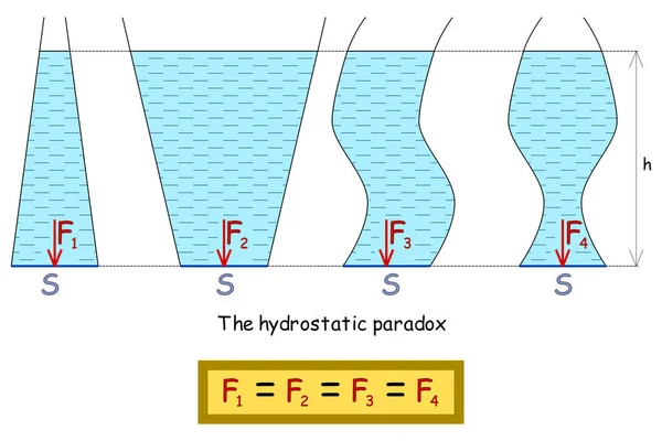 Representação Gráfica Paradoxo Hidrostático Que Força Compressão Hidrostática Não Altera — Vetor de Stock