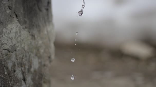 水の滴が落ちている — ストック動画
