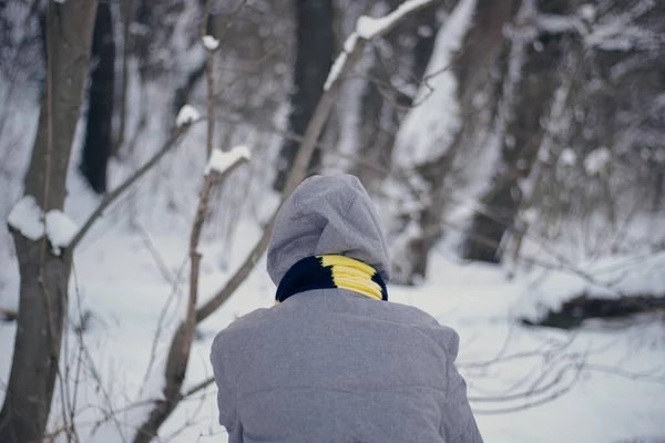 Man in a gray jacket. Black and yellow scarf. Winter forest background. Seasonal change of weather. Life on the go.
