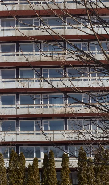 Old Building Wooden Windows Tree Thuja Branches — Zdjęcie stockowe