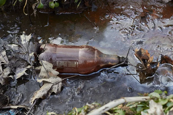 Environmental pollution. Brown plastic bottle lies on the ground and water.