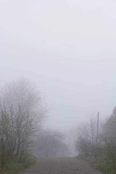 Camino Asfalto Con Árboles Niebla Paisaje Nebuloso —  Fotos de Stock