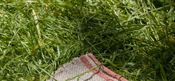 Część Tkaniny Koc Kolorze Czerwonym Niebieskim Białym Zielonej Trawie — Zdjęcie stockowe