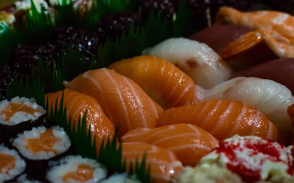 Variety Sashimi Sushi Close — Stock Photo, Image
