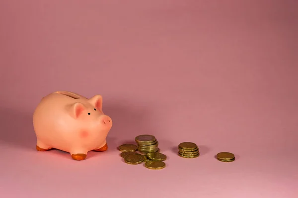 Pembe Arkaplanda Bozukluklarla Pembe Kumbaranın Yakın Çekimi - Tasarruf Konsepti - Alan alanını kopyala