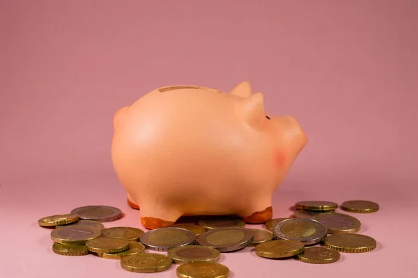 Pembe Para Arkaplanı Karşısındaki Pembe Kumbaranın Yakın Çekimi - Tasarruf Konsepti - Boşluk alanını kopyala