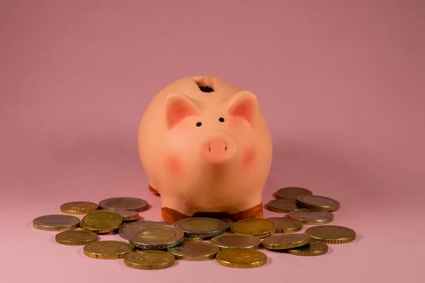 Pembe Arkaplanda Bozuk Paralarla Pembe Kumbaranın Yakın Çekimi - Tasarruf Konsepti