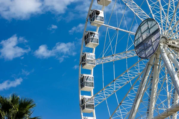 Avrupa 'da beyaz bulutlar ve yeşil palmiye ağaçları ile güneşli bir günde dönme dolap - Yazın boş fotokopi alanı arka planı