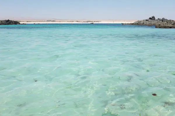 Baha Inglesa sahilinde turkuaz deniz suyu, Calera, Şili.