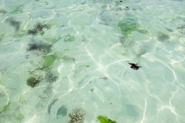 Baha Inglesa sahilinde turkuaz deniz suyu, Calera, Şili.