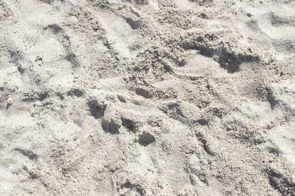 Bahia Inglesa kumsalı, Caldera, Şili