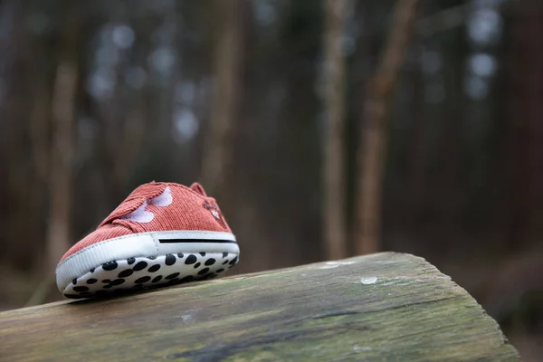 Lost pink baby shoe in forest. Walking trail lost and found