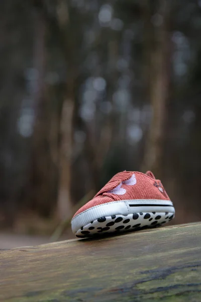 Lost pink baby shoe in forest. Walking trail lost and found