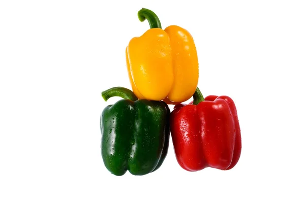 Capsicums coloridos — Fotografia de Stock