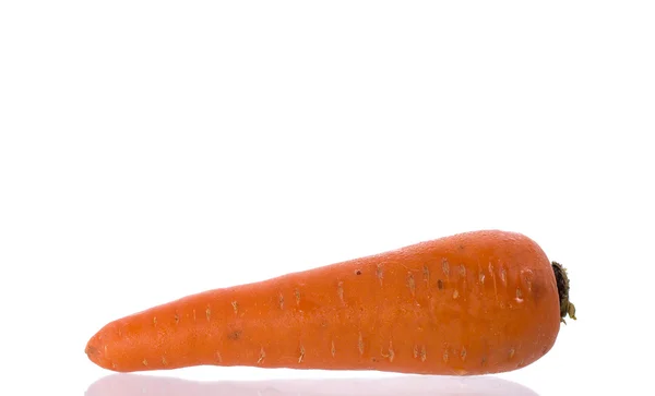 Fresh Carrot — Stock Photo, Image