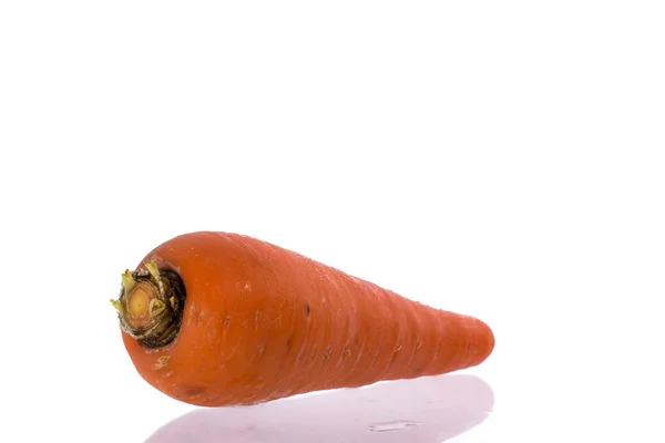 Carrot — Stock Photo, Image