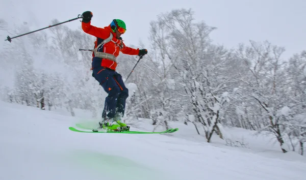 Os esquiadores — Fotografia de Stock