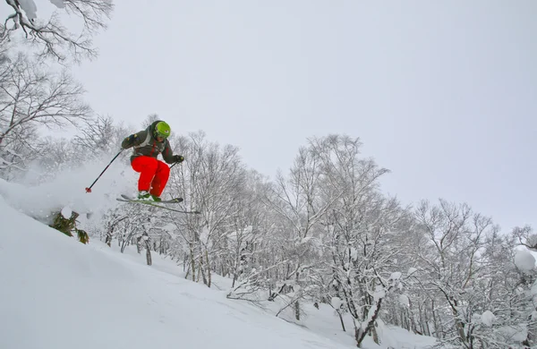 스키 남자 — 스톡 사진