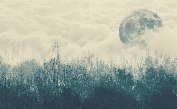 3Dイラストパノラマの山と木の景色と月の深い目覚めの段階があります夜に森の山々と霧の中の山 — ストック写真