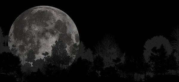 Illustration Vue Panoramique Sur Montagne Les Arbres Lune Une Phase — Photo