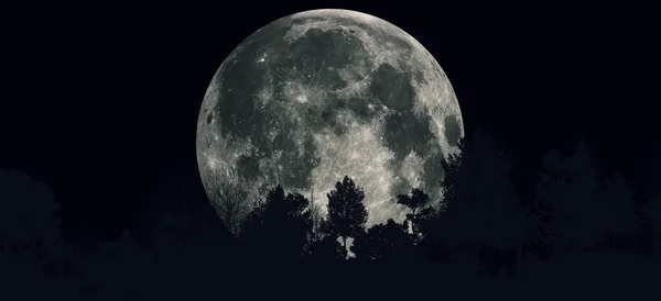 Ілюстрація Панорамний Вид Гору Дерево Місяць Має Глибоку Фазу Пробудження — стокове фото