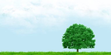 Çimenler ve ağaçlar bulutlu gökyüzünü geniş açı manzarası 3D illüstrasyon