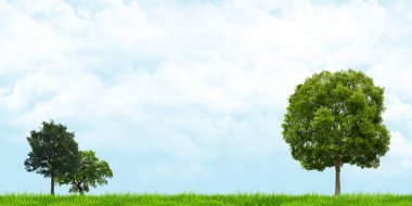 Çimenler ve ağaçlar bulutlu gökyüzünü geniş açı manzarası 3D illüstrasyon