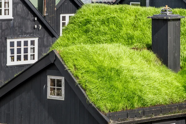 草坪屋顶的木房子里 — 图库照片