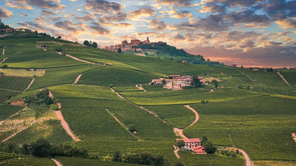 Vinhas Langhe panorama por do sol, Barolo e La Morra, Unesco Site, Piemonte, Norte da Itália Europa. — Fotografia de Stock