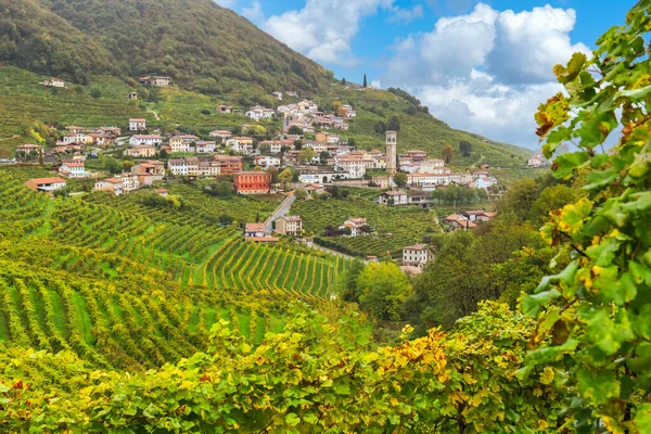 Heuvels bebouwd met Prosecco di Valdobbiadene druiven — Stockfoto